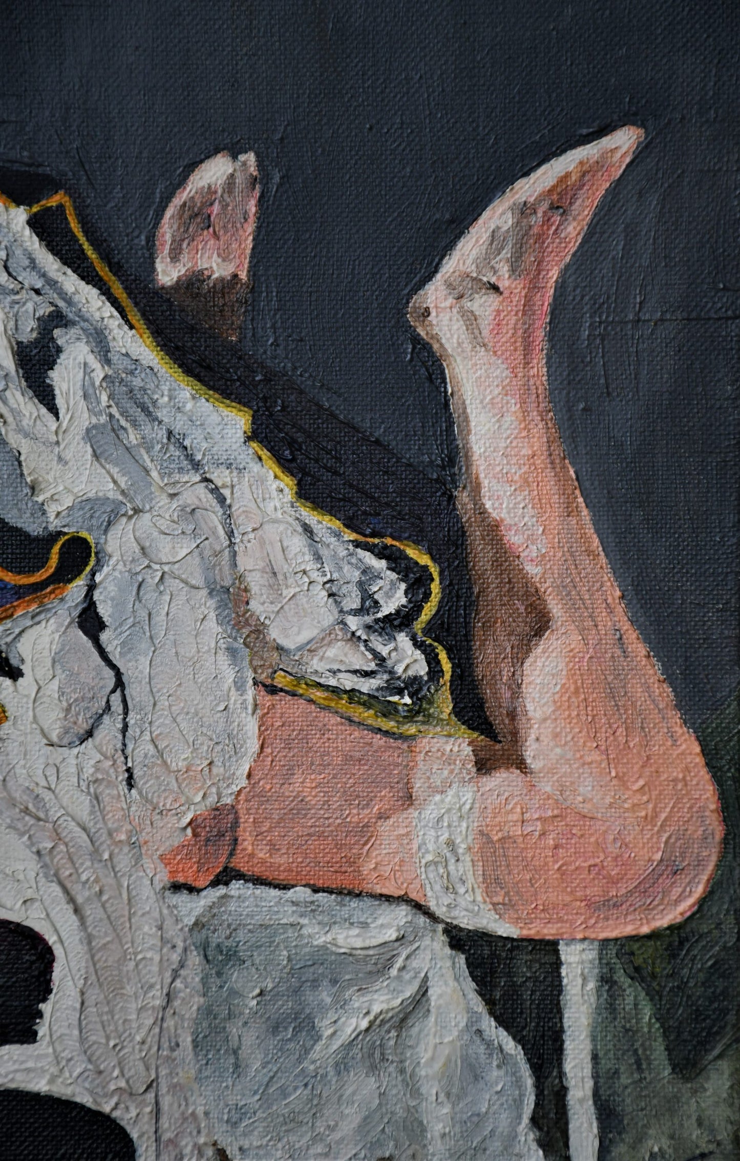 "Забранената книга"