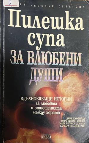 Пилешка супа за влюбени души (5155)