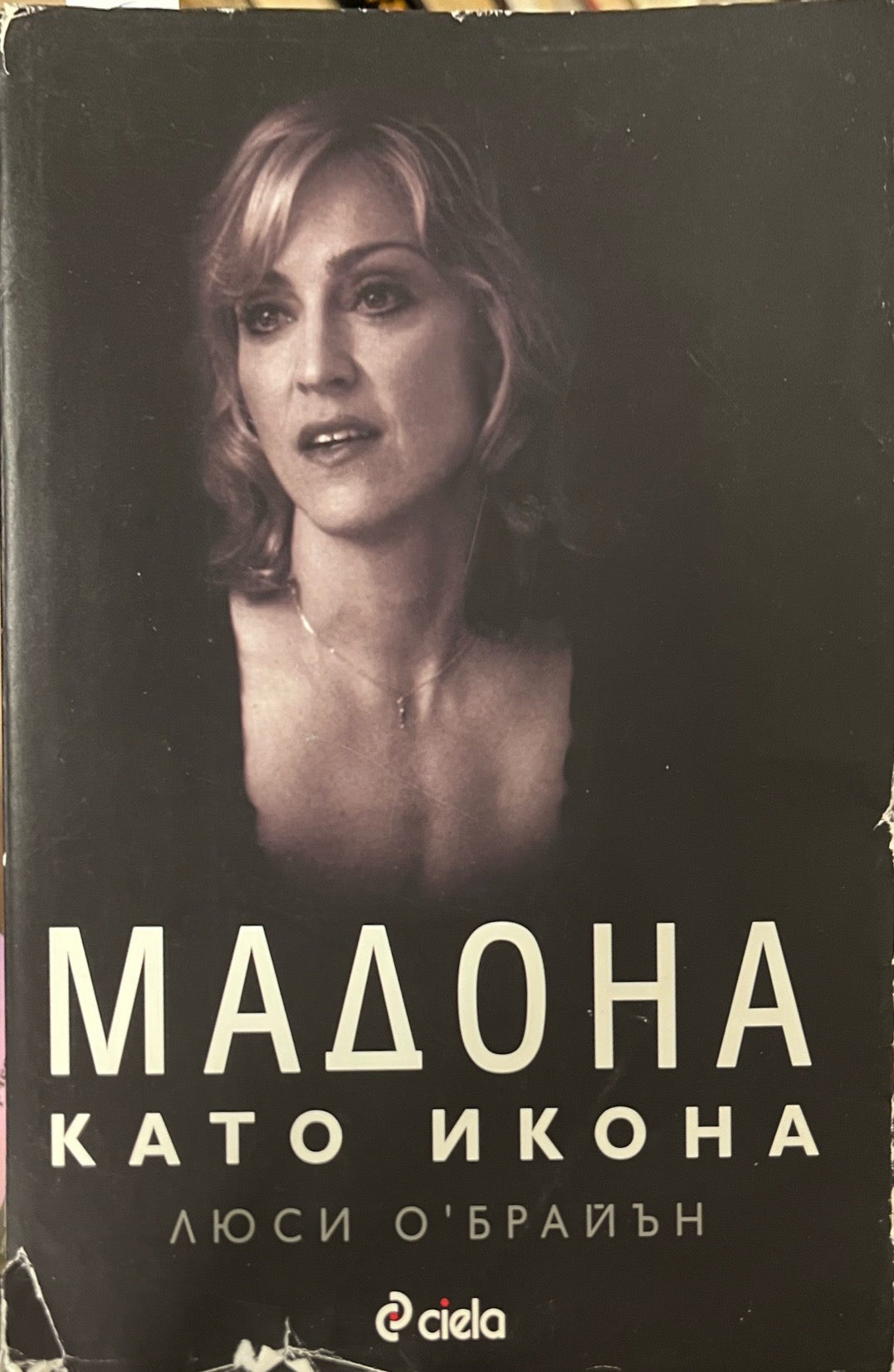 Мадона като икона (3410)
