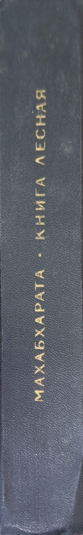 Махабхарата. Книга лесная (Араньякапарва)