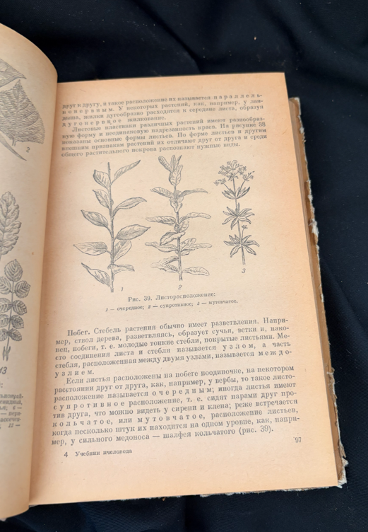 Учебник пчеловода (2347)