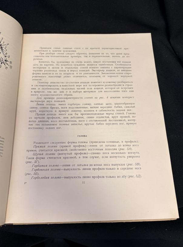 Как рисовать лошадь (2470)