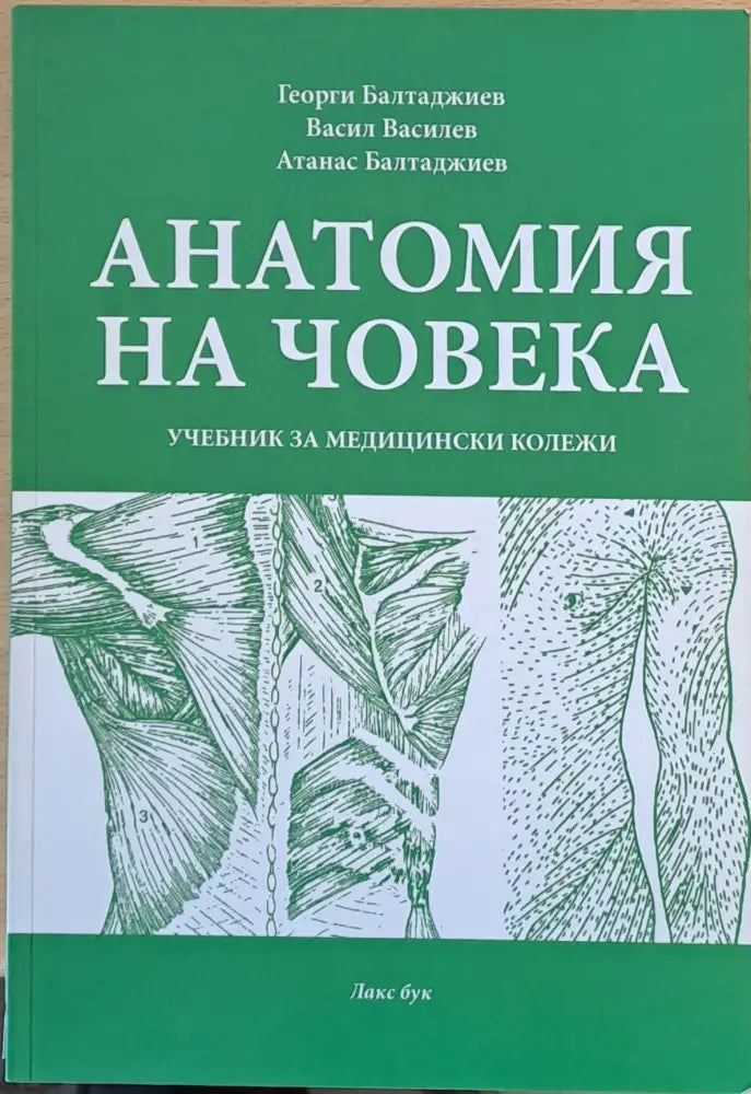 Анатомия на човека (527)