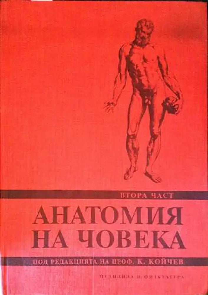 Анатомия на човека. Част 2 - Книги
