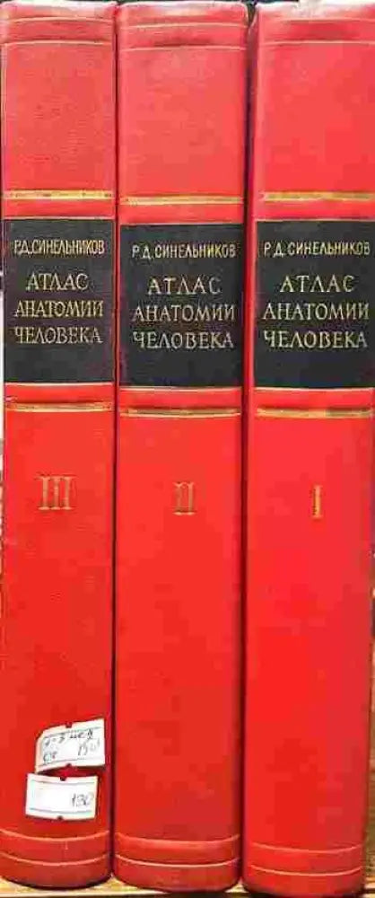 Атлас анатомии человека в трех томах. Том 1-3 - Книги
