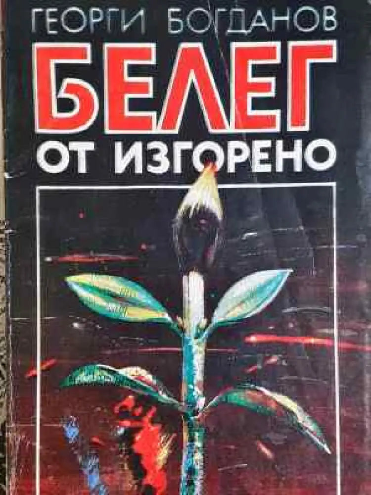Белег от изгорено - Георги Богданов (2033)