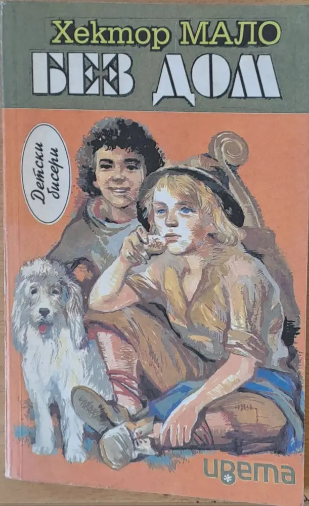 Без дом - Книги
