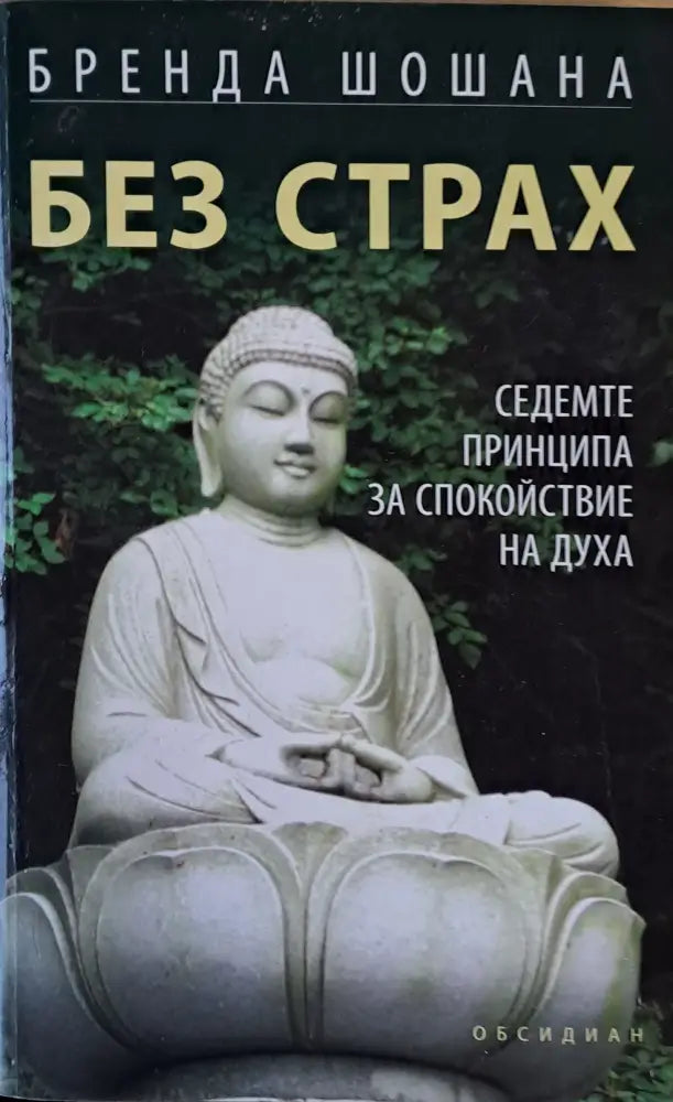 Без страх. Седемте принципа за спокойствие на духа - Книги