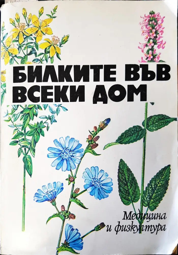 Билките във всеки дом (517)