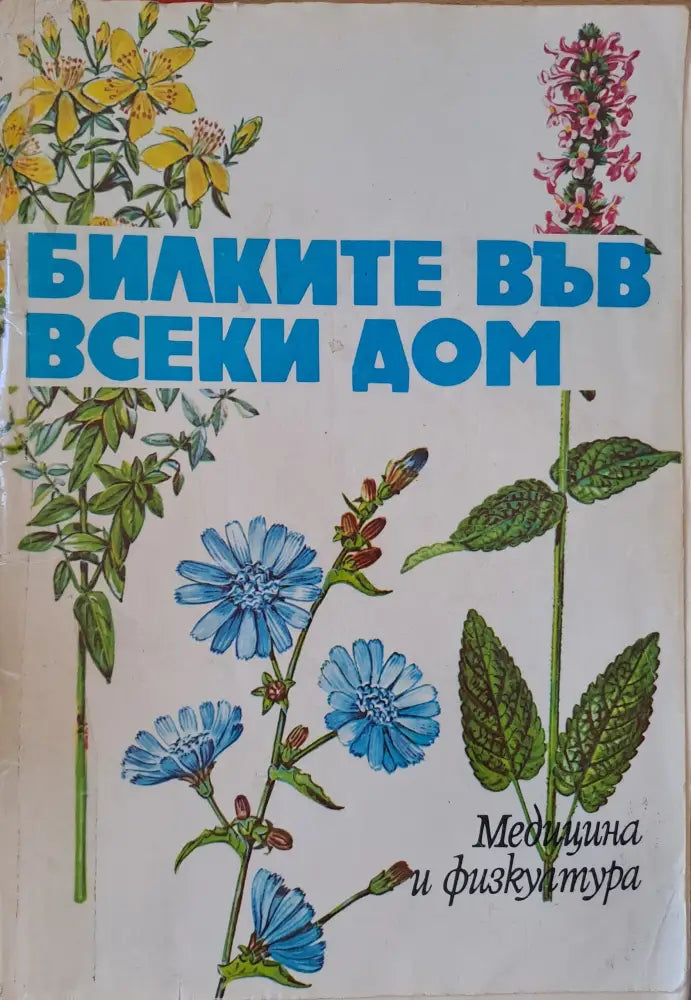 Билките във всеки дом (615)