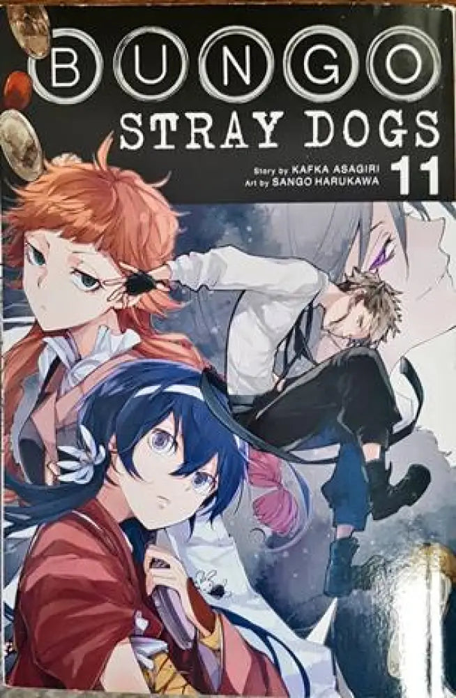 Bungo Stray Dogs. Volume 11 - Книги