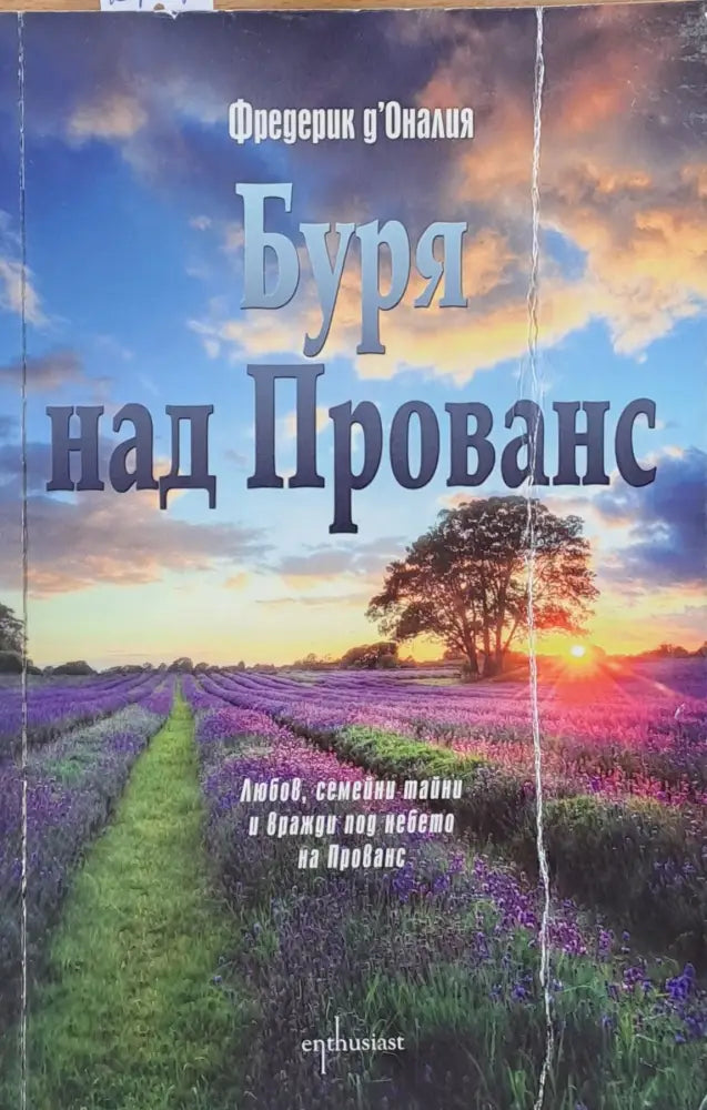 Буря над Прованс - Книги