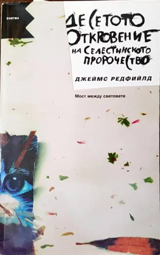 Десетото откровение от Селестинското пророчесто: Мост между световете (4912)