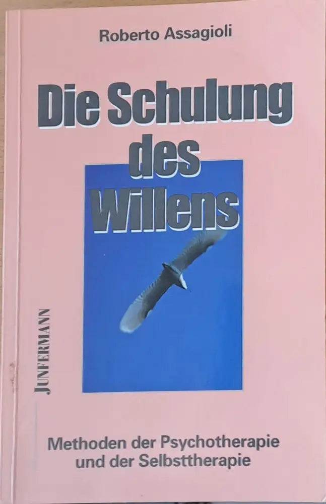Die Schulung des Willens - Книги