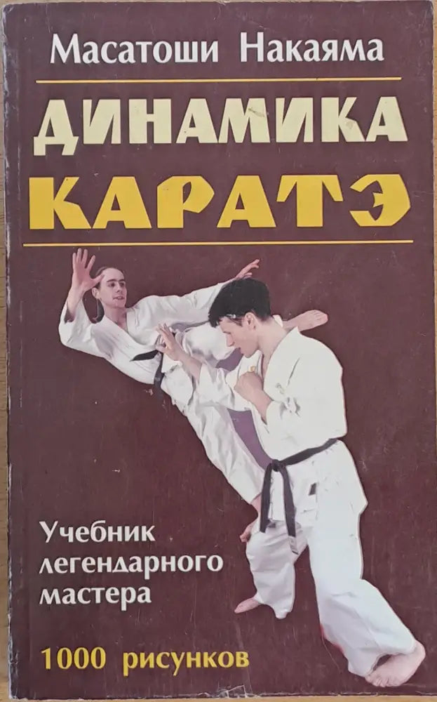 Динамика Каратэ (436)