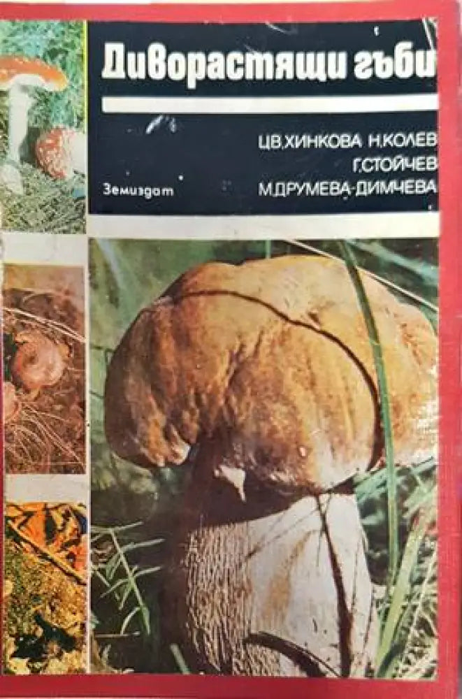 Диворастящи гъби (854) - Книга