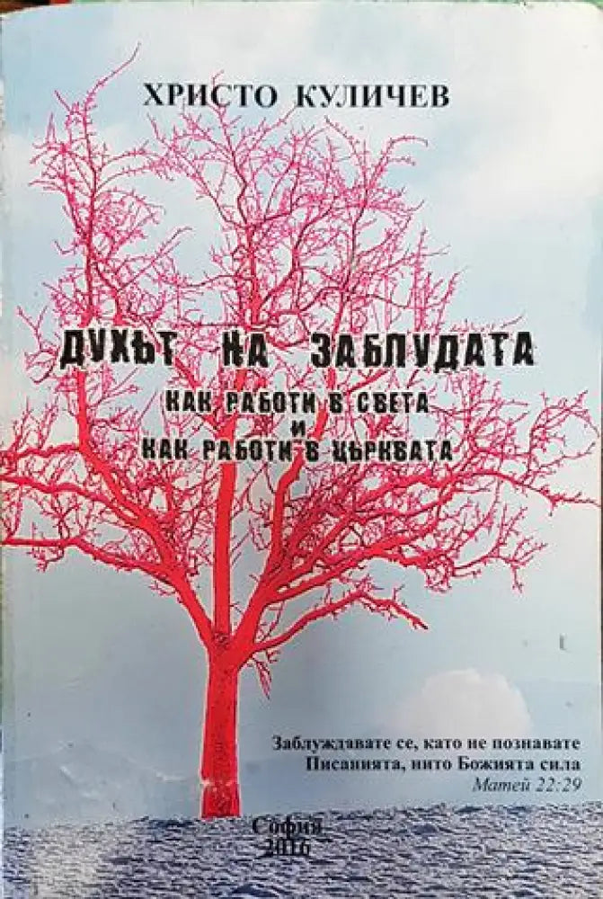 Духът на заблудата - Книга