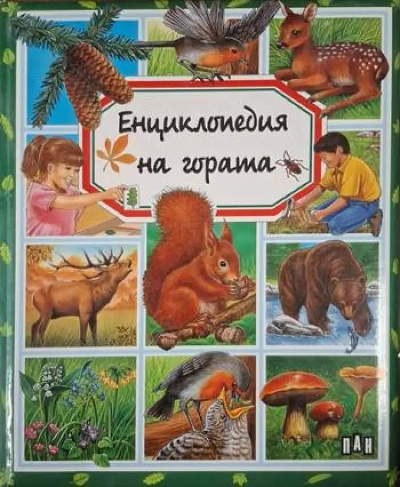 Енциклопедия на гората (241)