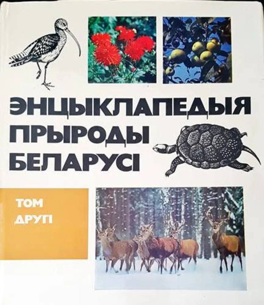 Энцыклапедыя прыроды беларусы - Книги