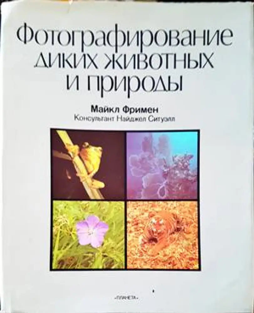 Фотографирование диких животных и природы (2356)