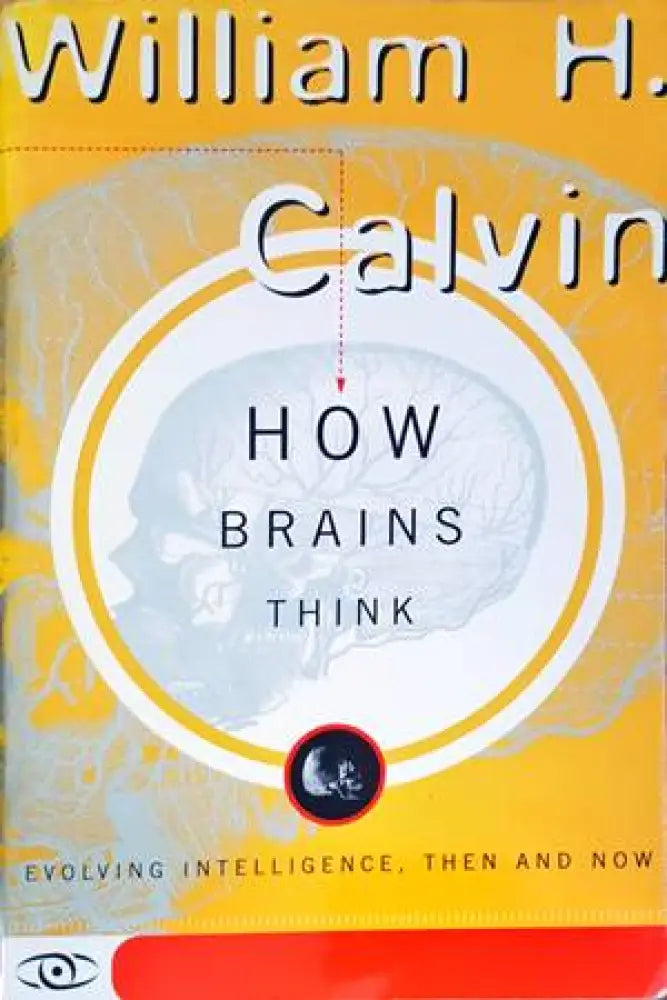 How Brains Think - Книги