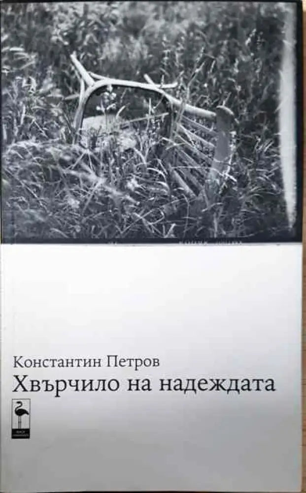 Хвърчило на надеждата - Книга
