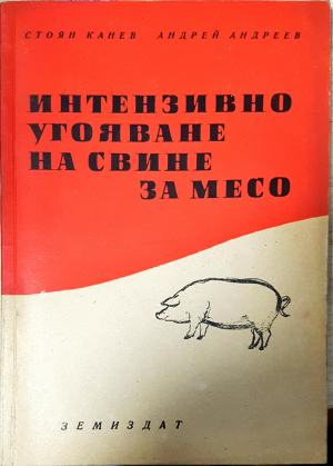 Интензивно угояване на свине за месо. (1160)