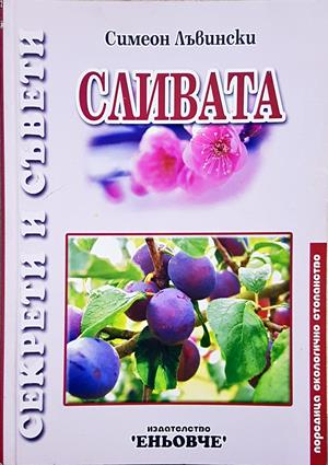 Сливата (1286)