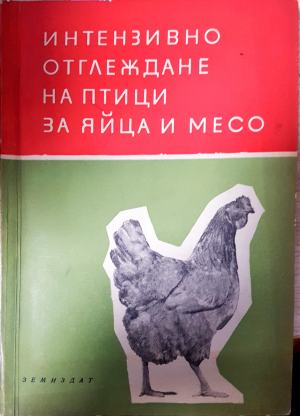 Интензивно отглеждане на птици за яйца и месо (1163)