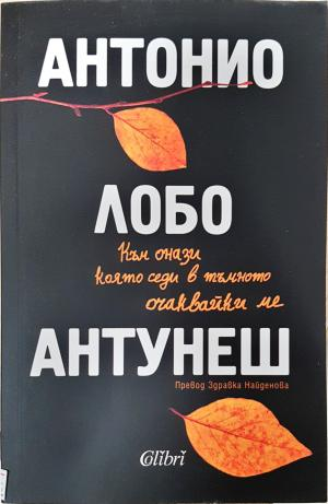Към онази която седи в тъмното очаквайки ме (4154)