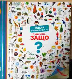 Малка енциклопедия на първите Защо (381)