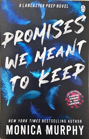 Promises We Meant to Keep (2255)