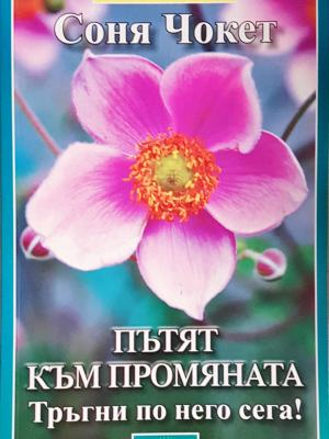 Пътят към промяната. Тръгни по него сега! (4063)