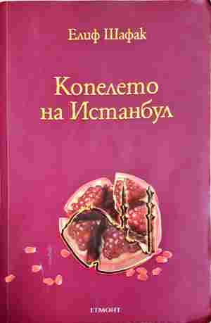 Копелето на Истанбул (4591)