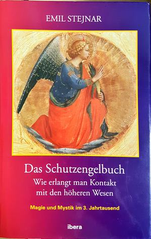 Das Schutzengelbuch: Wie erlangt man Kontakt mit den höheren Wesen (6598)