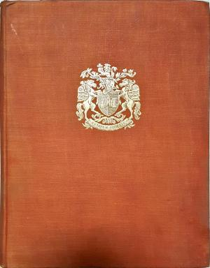 Exeter Phoenix - A Plan for Rebuilding (960)
