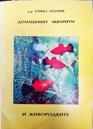 Домашният аквариум и живородките (125)