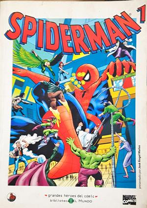 Spiderman 1 (2504)