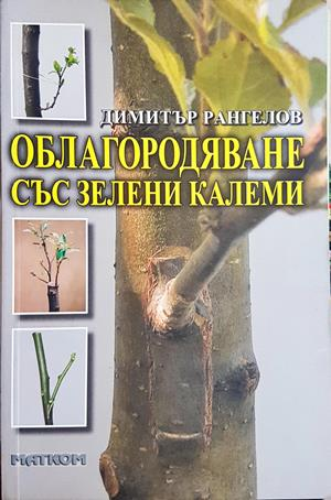 Облагородяване със зелени калеми (1306)
