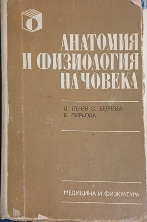 Анатомия и физиология на човека – Пенев, Белчева, Пирьова