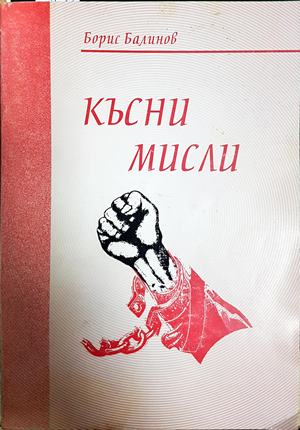 Късни мисли - Борис Балинов