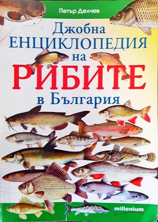 Джобна енциклопедия на рибите в България (135)