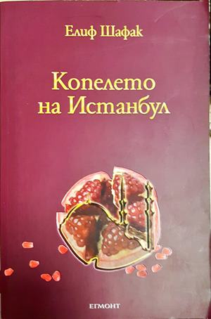 Копелето на Истанбул (4190)