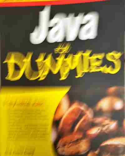 Java For Dummies (604)