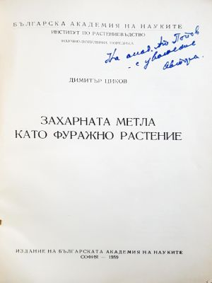 Захарната метла като фуражно растение (1275)