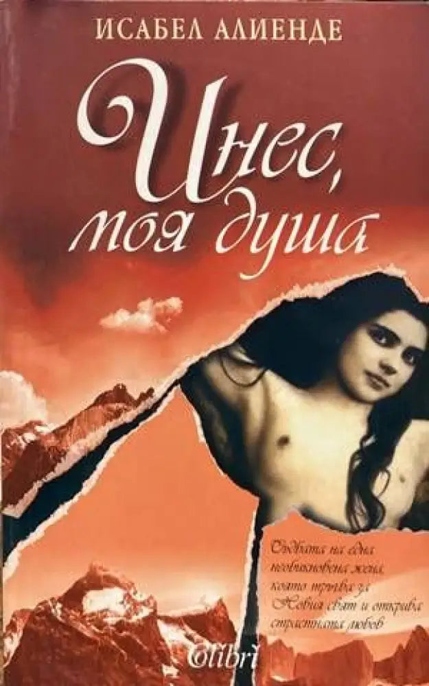 Инес моя душа (1985) - Книга