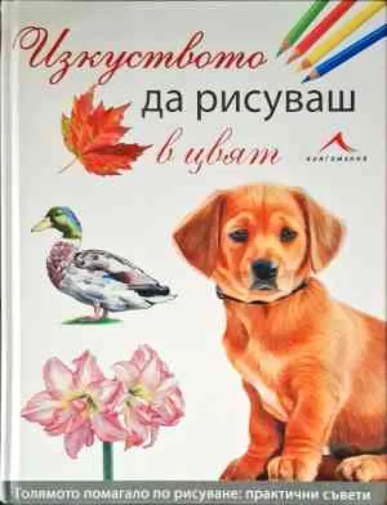 Изкуството да рисуваш в цвят - Книги