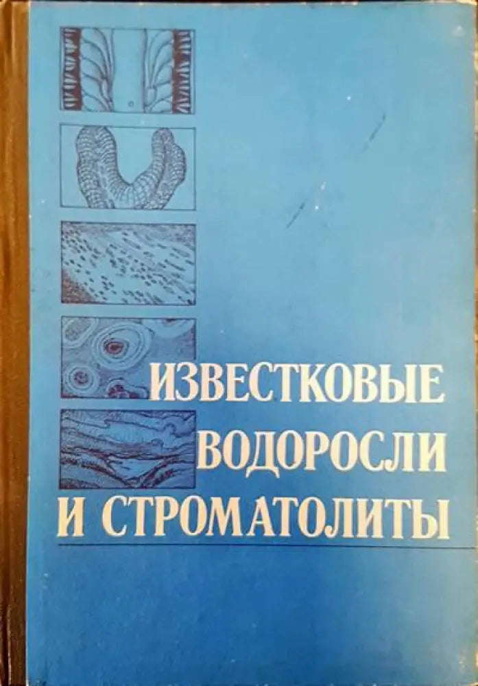 Известковые водоросли и строматолиты - Книги