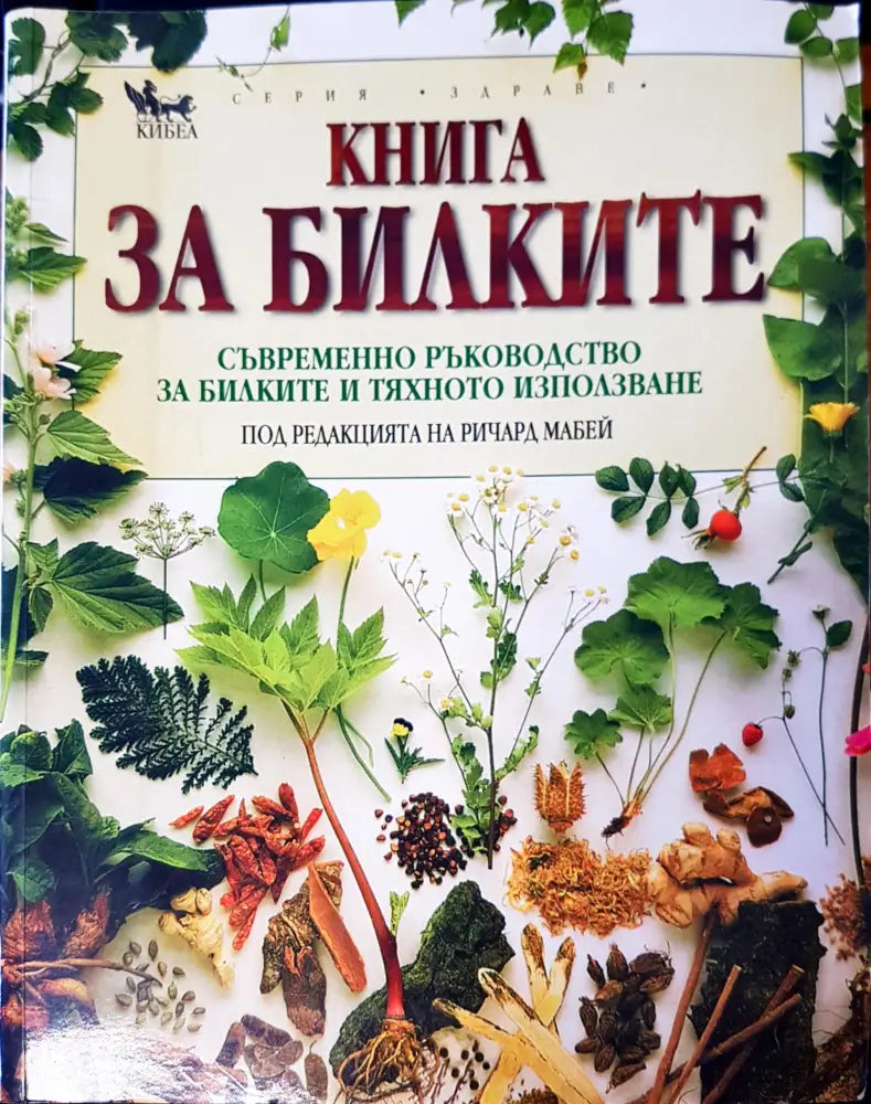 Как да лекуваме децата със средствата на цялостната медицина (438)