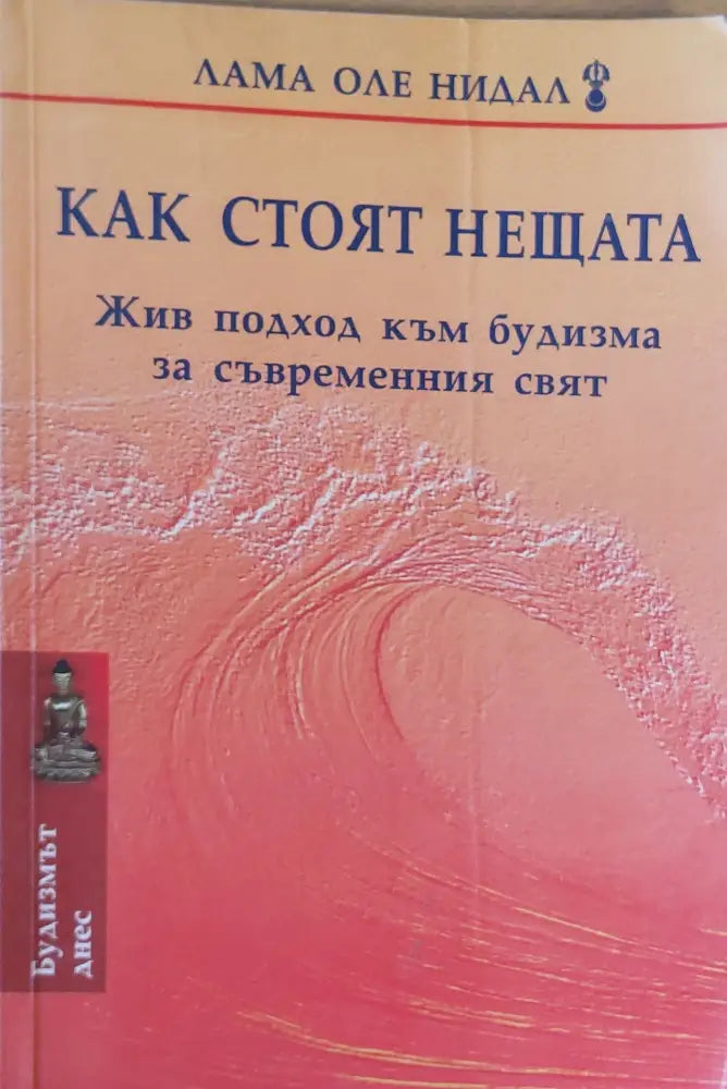 Как стоят нещата Жив подход към будизма за съвременния свят - Книги
